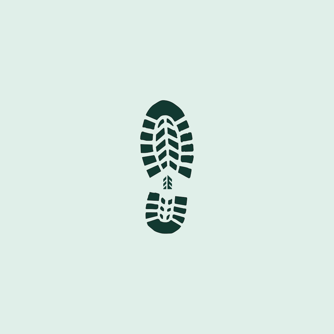 My Individual Footprint