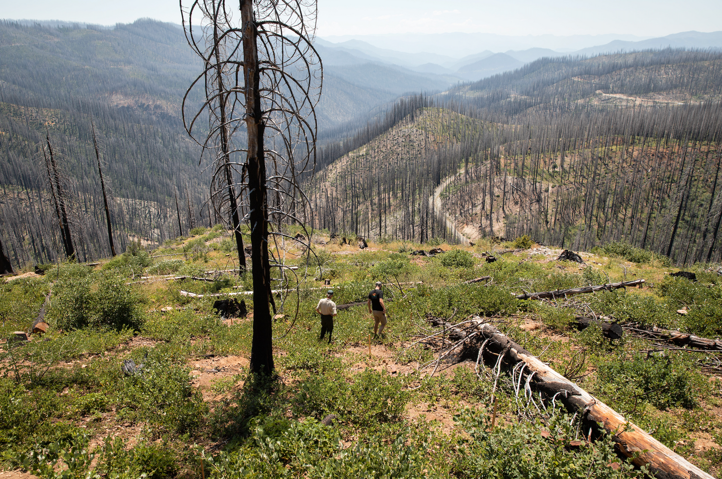 California: Klamath National Forest