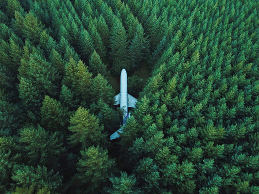 Trees (Flight Offset)